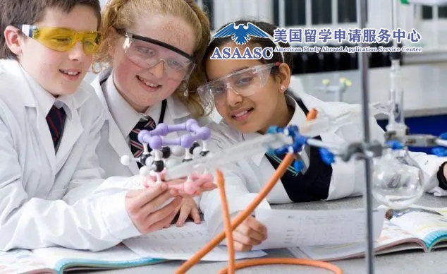 ���ӵ�������Сѧ��ΰ���������������Сѧ��ѧ����Ҫ��Щ��������ΰ�����