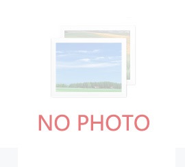 2025-2026年孩子去美国上小学有什么要求？美国小学留学怎么申请？